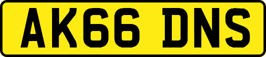 AK66DNS