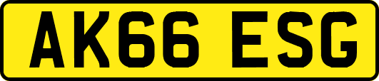 AK66ESG