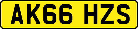 AK66HZS