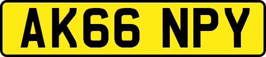 AK66NPY