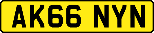 AK66NYN