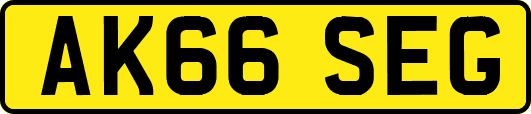 AK66SEG