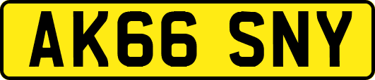 AK66SNY