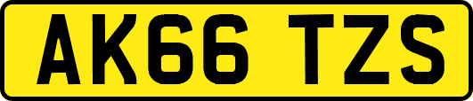 AK66TZS