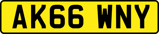 AK66WNY