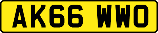 AK66WWO