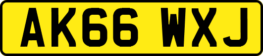 AK66WXJ