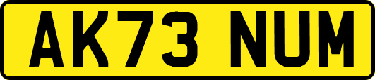 AK73NUM