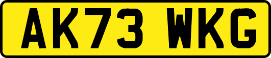 AK73WKG