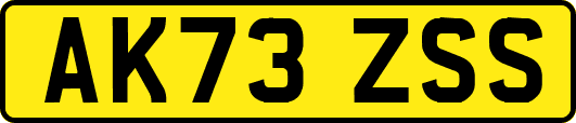 AK73ZSS