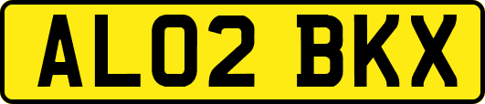 AL02BKX