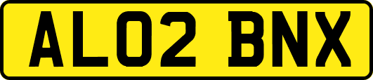 AL02BNX