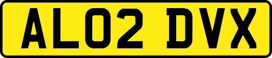 AL02DVX