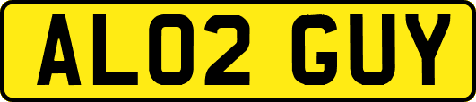 AL02GUY
