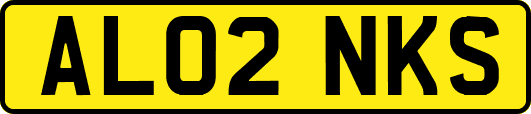 AL02NKS