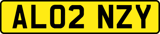 AL02NZY