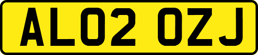 AL02OZJ