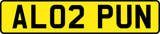 AL02PUN