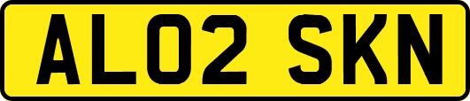 AL02SKN