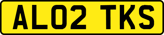 AL02TKS
