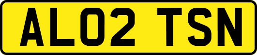 AL02TSN