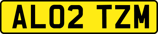 AL02TZM