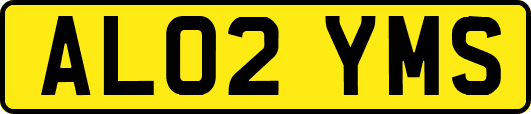 AL02YMS