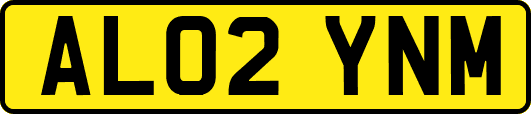 AL02YNM