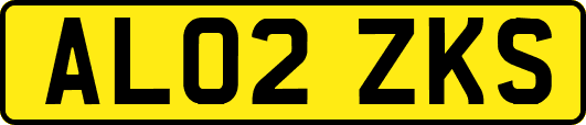 AL02ZKS