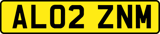 AL02ZNM