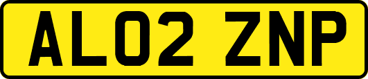 AL02ZNP