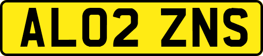 AL02ZNS