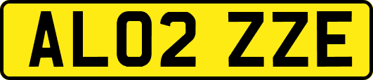 AL02ZZE
