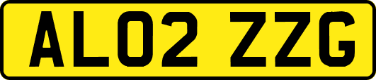 AL02ZZG