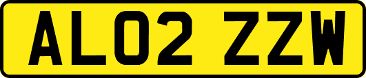 AL02ZZW