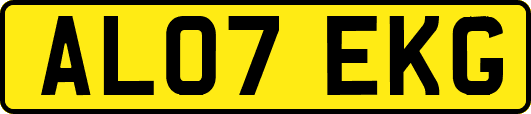 AL07EKG