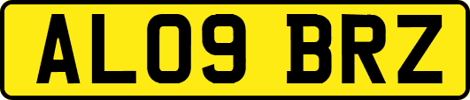 AL09BRZ