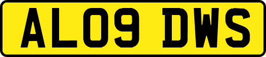 AL09DWS