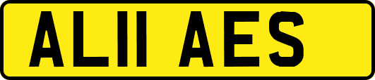 AL11AES