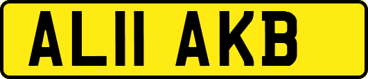 AL11AKB