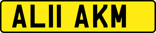 AL11AKM