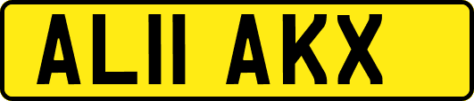 AL11AKX