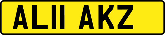 AL11AKZ