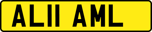 AL11AML