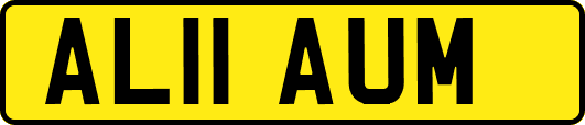 AL11AUM
