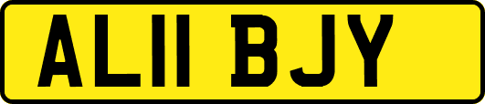 AL11BJY