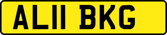 AL11BKG