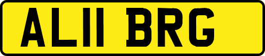 AL11BRG