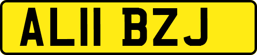 AL11BZJ