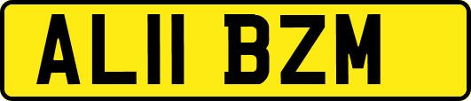 AL11BZM